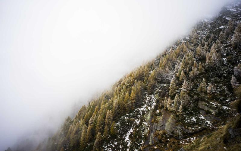 大型体育场馆内景，绿色草坪与看台，营造专业赛事氛围